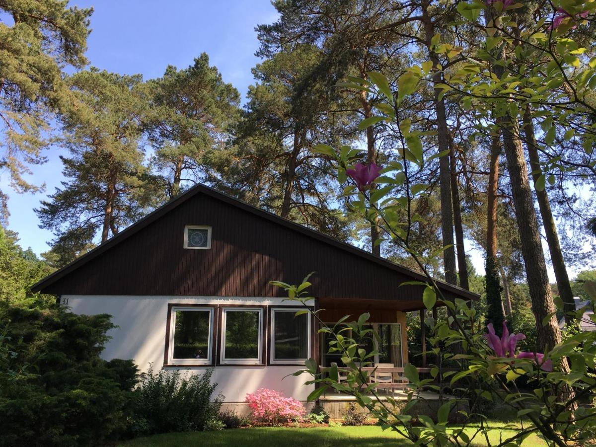Komplettes Ferienhaus Potsdam Berlin Gaestehaus In Seenaehe 95Qm2 Monteurzimmer ภายนอก รูปภาพ